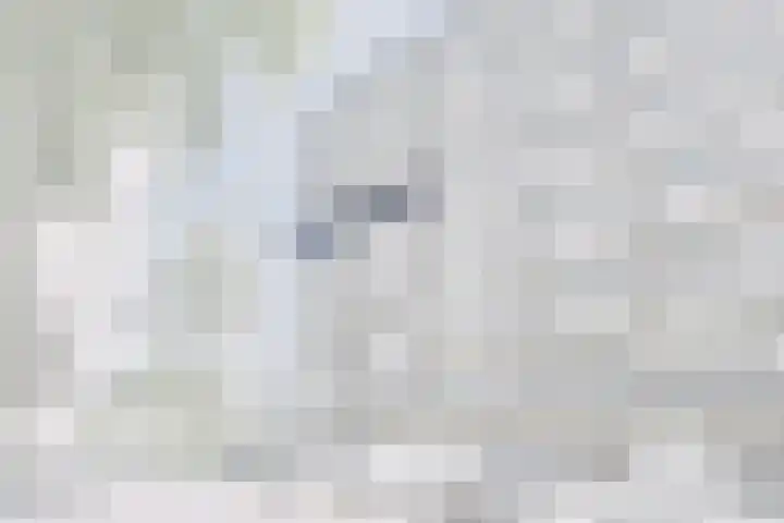 Dunantstraat 568 Zoetermeer thumbnail 5