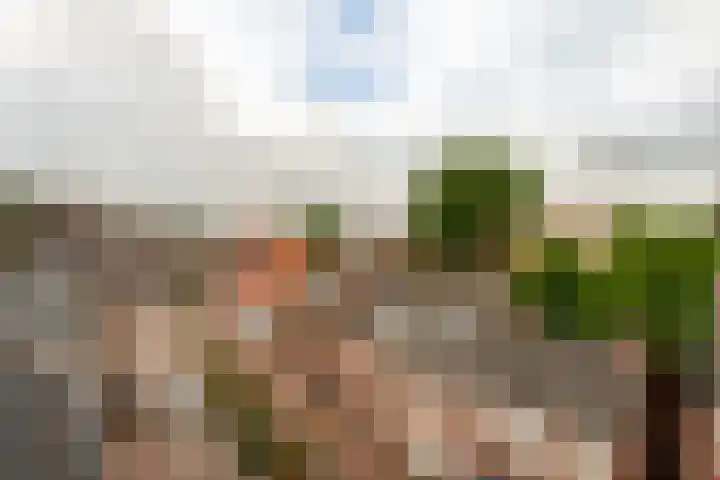 Dunantstraat 6 b Roosendaal thumbnail 13