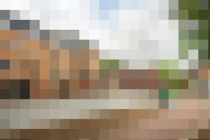 Dunantstraat 6 b Roosendaal thumbnail 30
