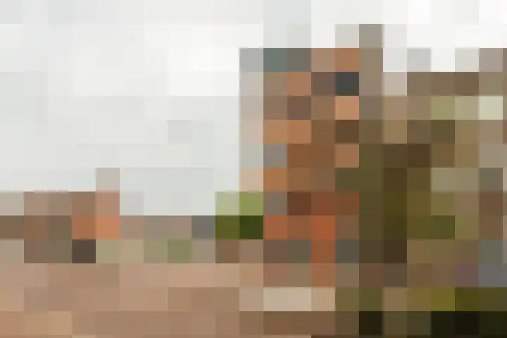 Dunantstraat 6 b Roosendaal thumbnail 32