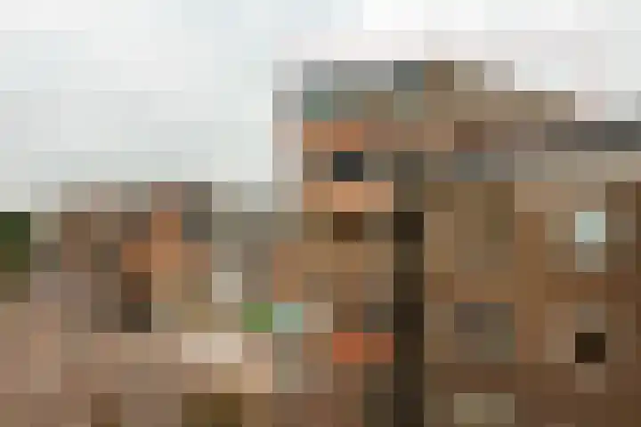 Dunantstraat 6 b Roosendaal thumbnail 33