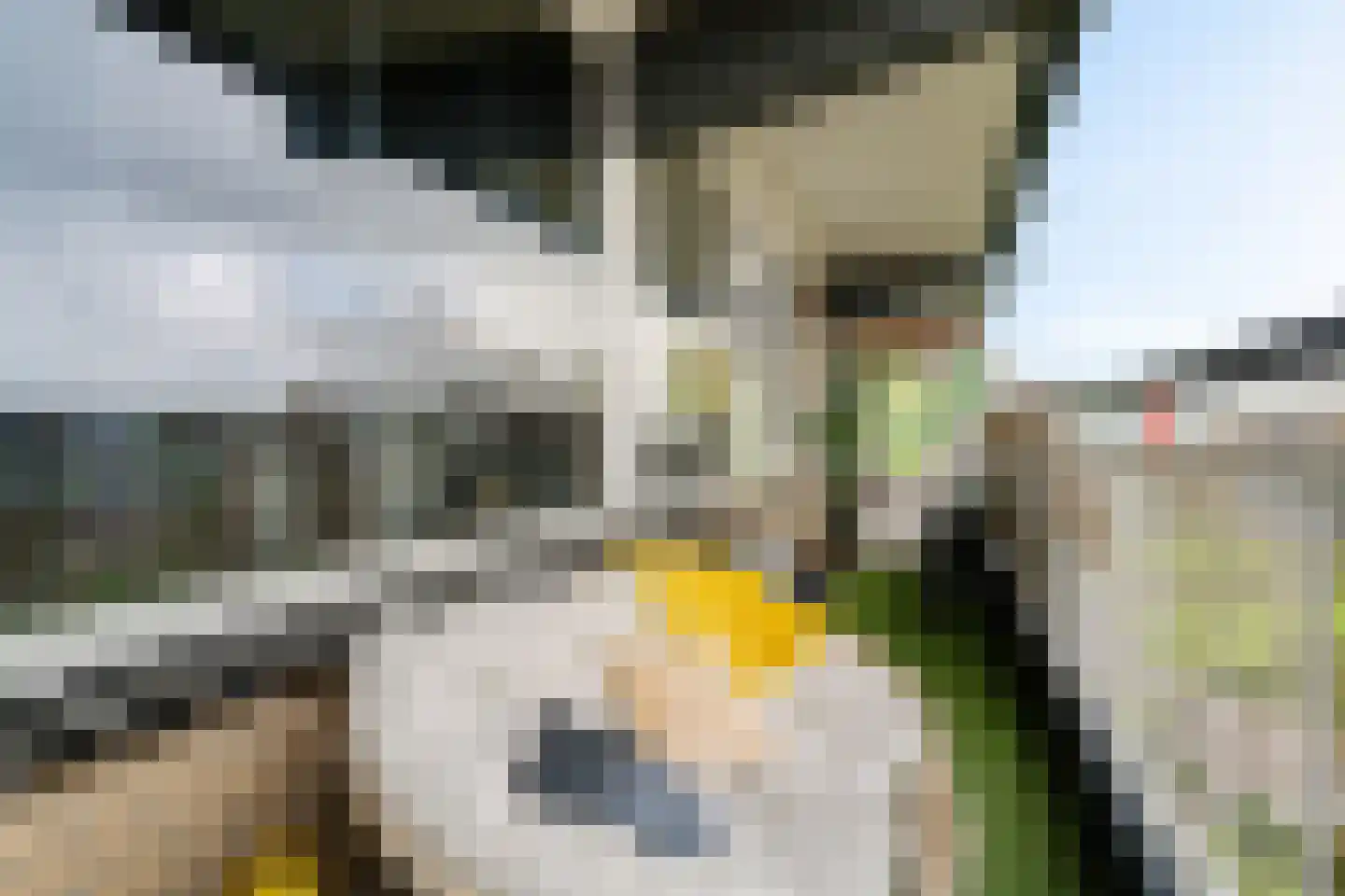 Dunantstraat 608 Zoetermeer thumbnail 29