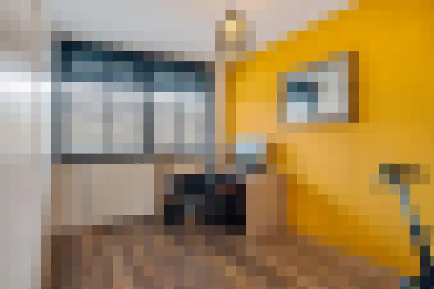 Dunantstraat 608 Zoetermeer thumbnail 37