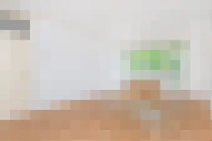Dunantstraat 642 Zoetermeer thumbnail 9