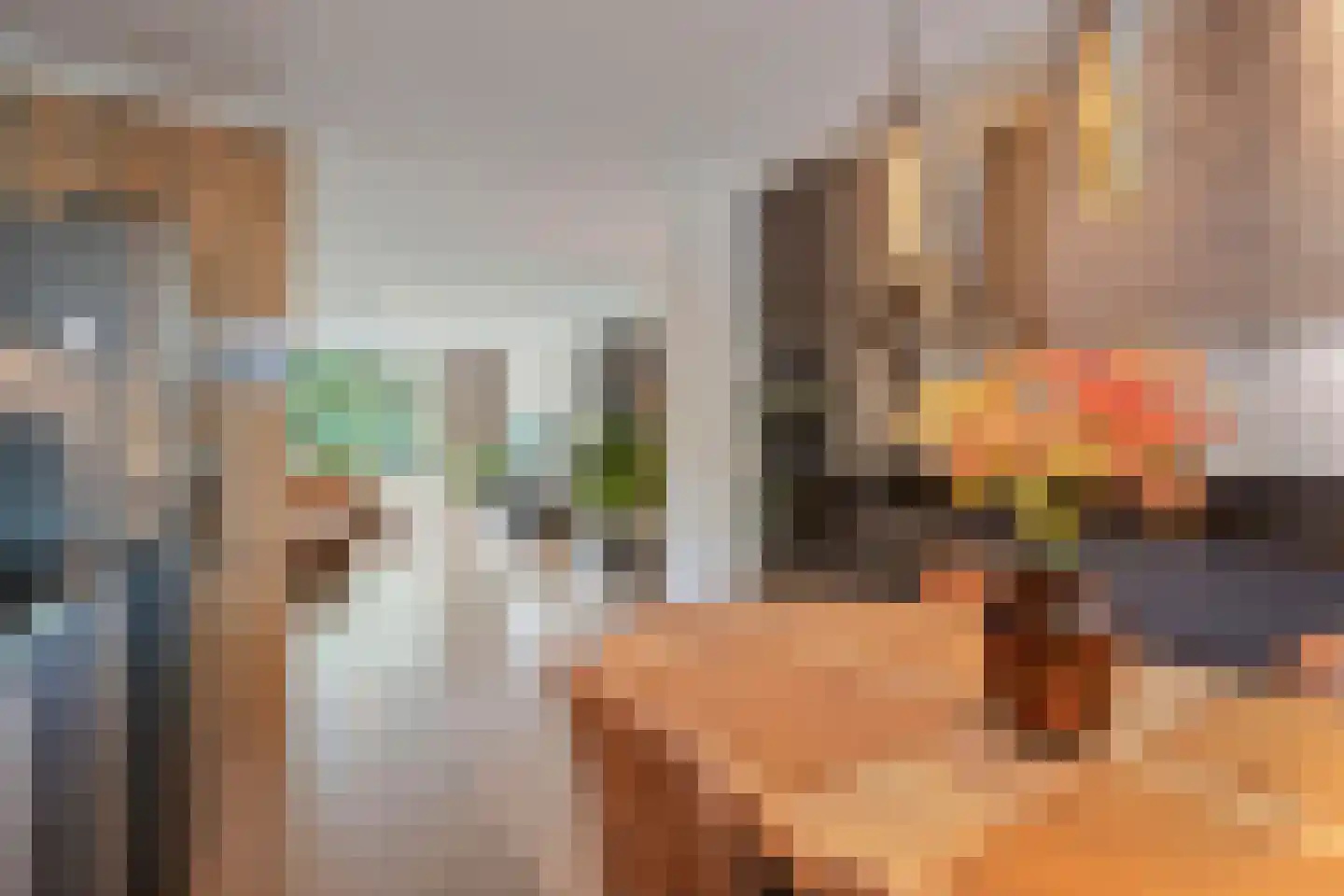Dunantstraat 652 Zoetermeer thumbnail 20