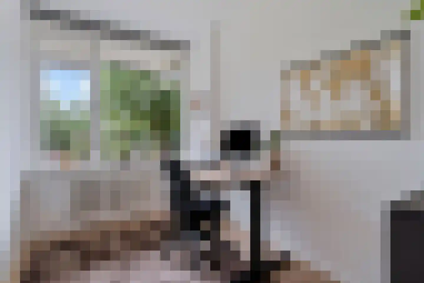 Dunantstraat 652 Zoetermeer thumbnail 25