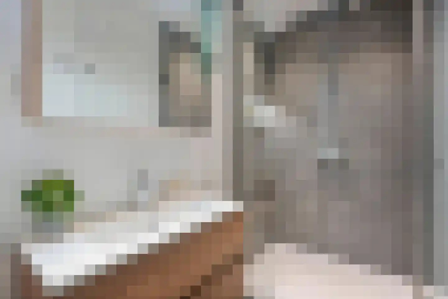 Dunantstraat 652 Zoetermeer thumbnail 30