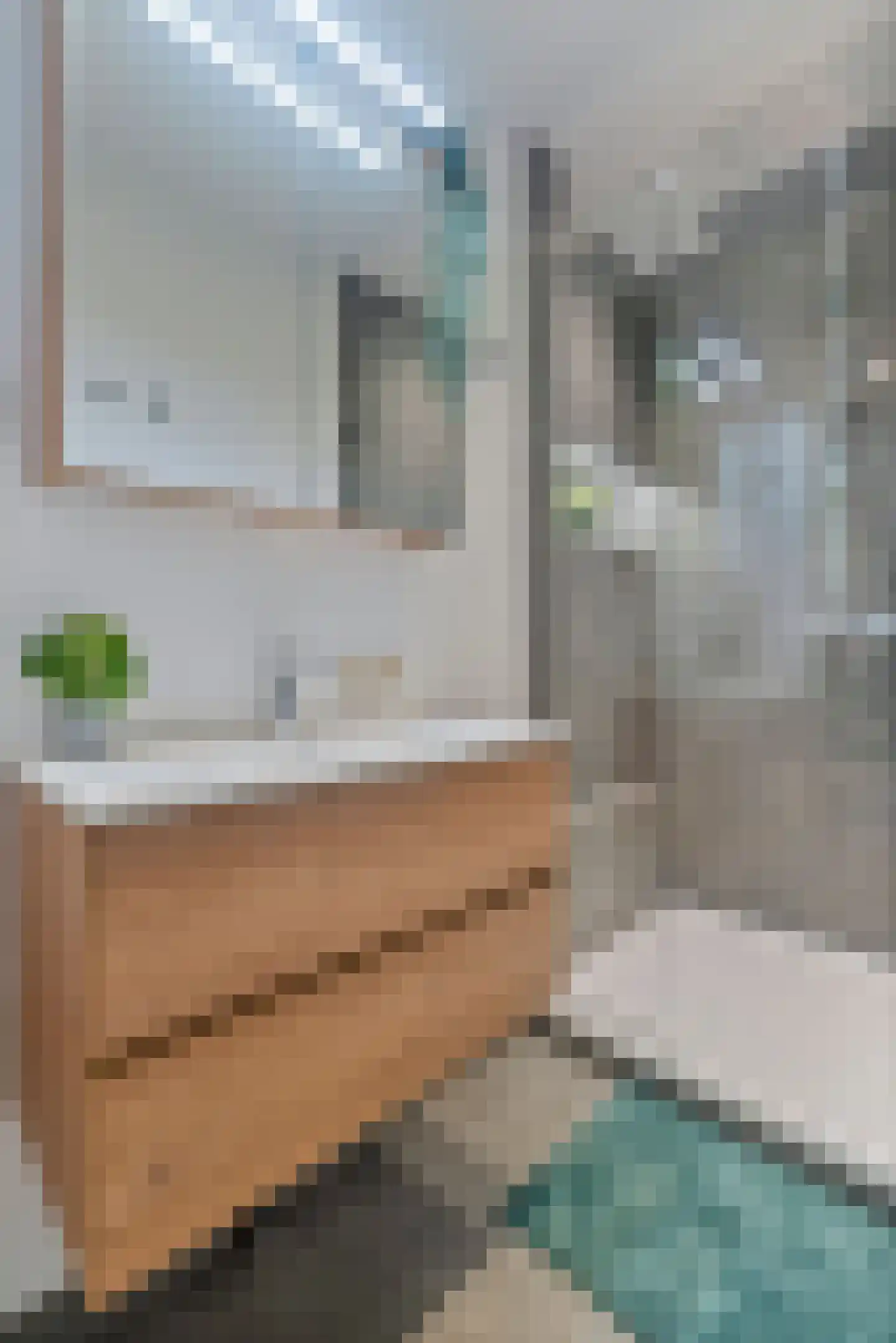 Dunantstraat 652 Zoetermeer thumbnail 32