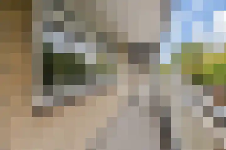 Dunantstraat 658 Zoetermeer thumbnail 10