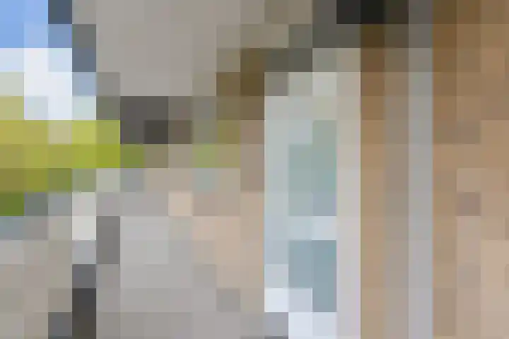 Dunantstraat 658 Zoetermeer thumbnail 12