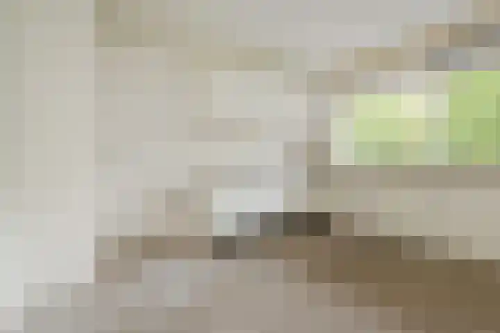 Dunantstraat 658 Zoetermeer thumbnail 16