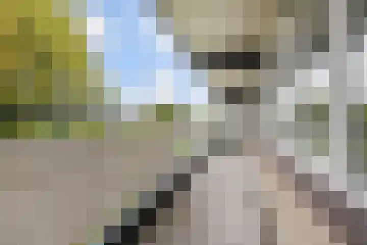 Dunantstraat 658 Zoetermeer thumbnail 24