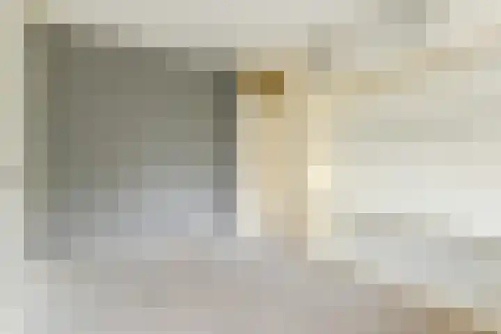 Dunantstraat 658 Zoetermeer thumbnail 27