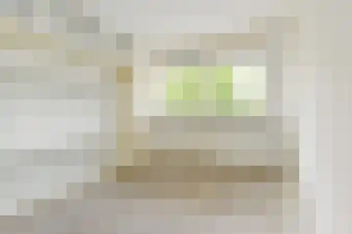 Dunantstraat 658 Zoetermeer thumbnail 28