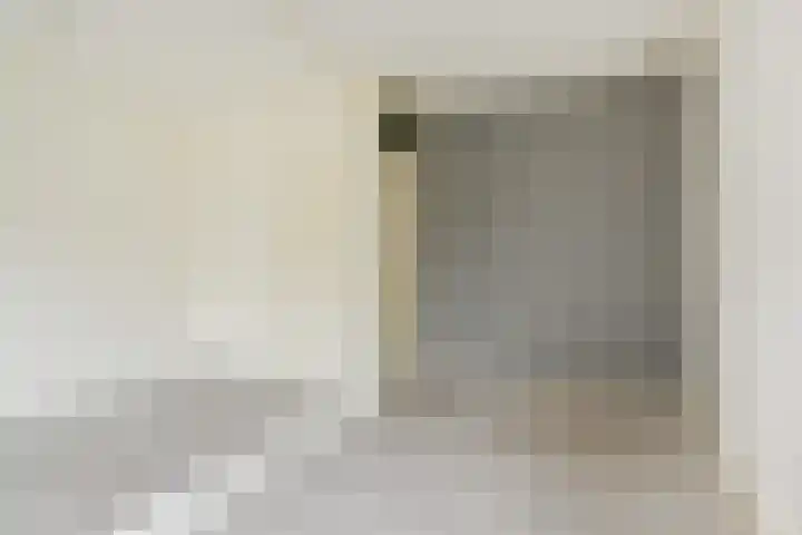 Dunantstraat 658 Zoetermeer thumbnail 31