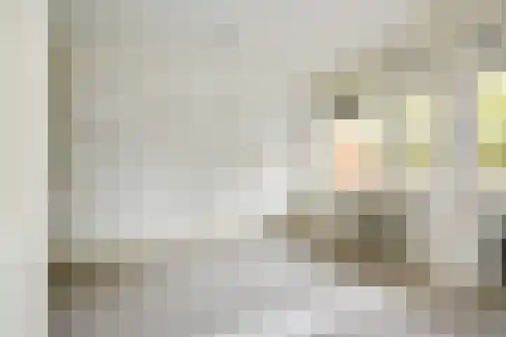 Dunantstraat 658 Zoetermeer thumbnail 32
