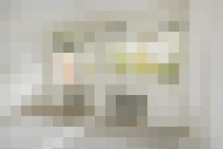 Dunantstraat 658 Zoetermeer thumbnail 33