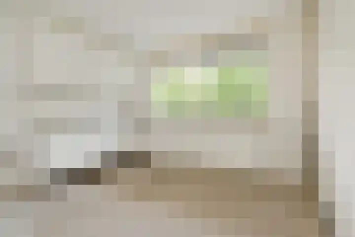 Dunantstraat 658 Zoetermeer thumbnail 4