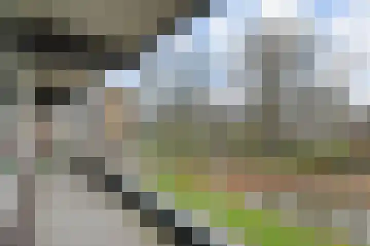 Dunantstraat 664 Zoetermeer thumbnail 22