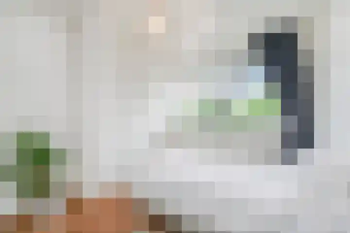 Dunantstraat 710 Zoetermeer thumbnail 18