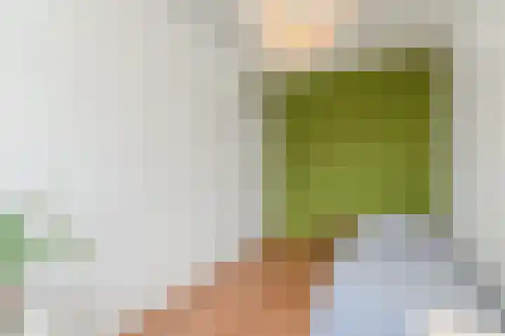 Dunantstraat 710 Zoetermeer thumbnail 20