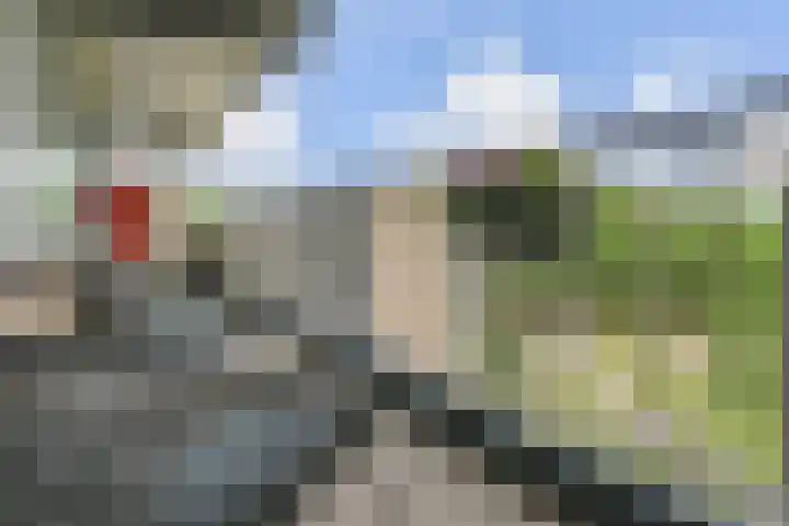 Dunantstraat 710 Zoetermeer thumbnail 24
