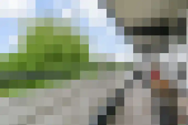 Dunantstraat 710 Zoetermeer thumbnail 26
