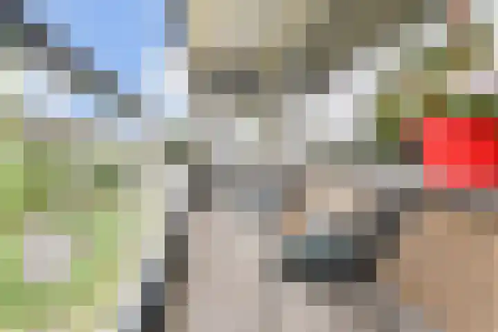 Dunantstraat 710 Zoetermeer thumbnail 27