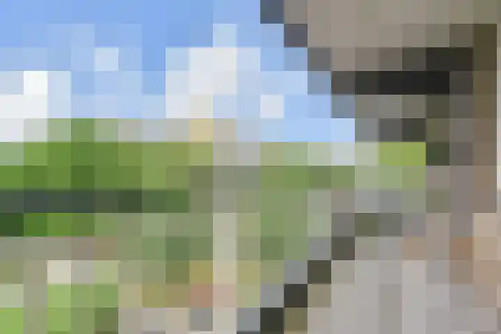 Dunantstraat 710 Zoetermeer thumbnail 28