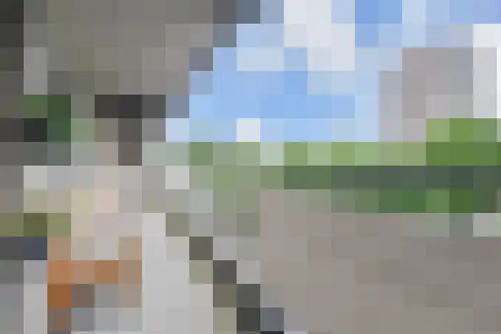 Dunantstraat 710 Zoetermeer thumbnail 32