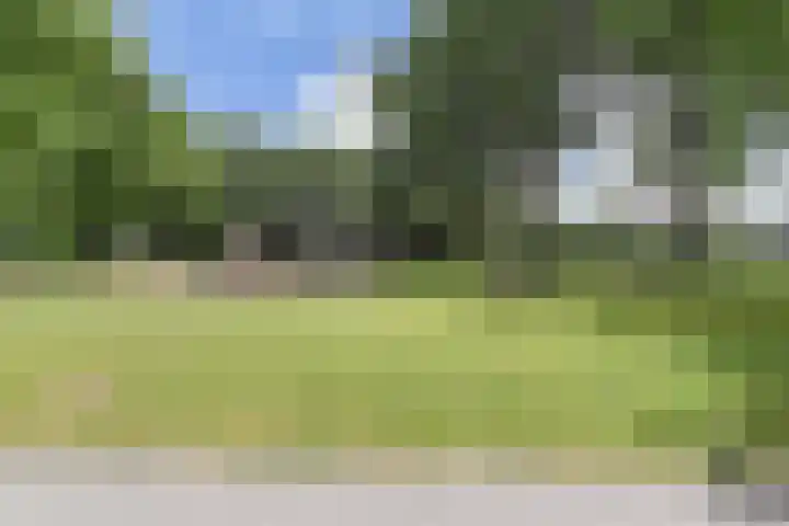 Dunantstraat 710 Zoetermeer thumbnail 34