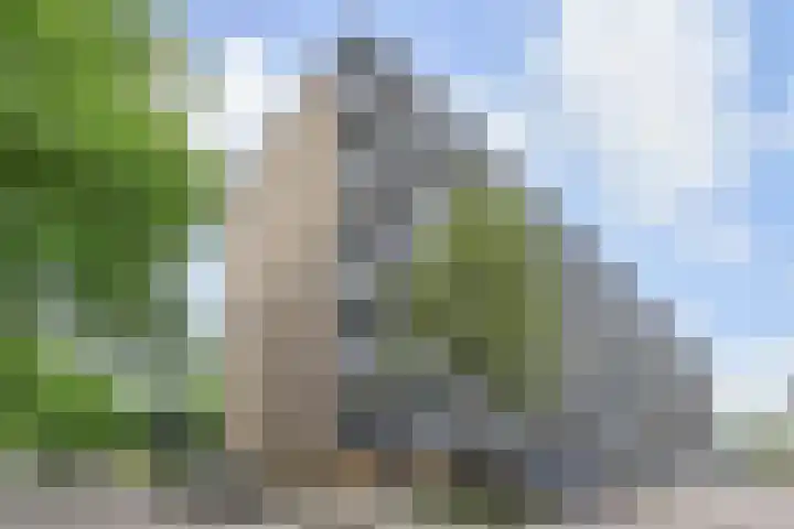 Dunantstraat 710 Zoetermeer thumbnail 45