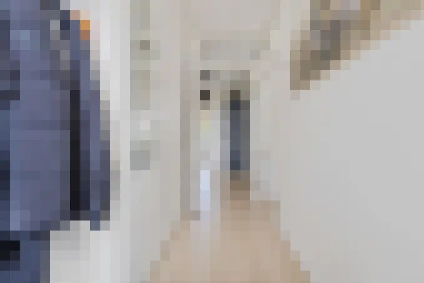 Dunantstraat 738 Zoetermeer thumbnail 13