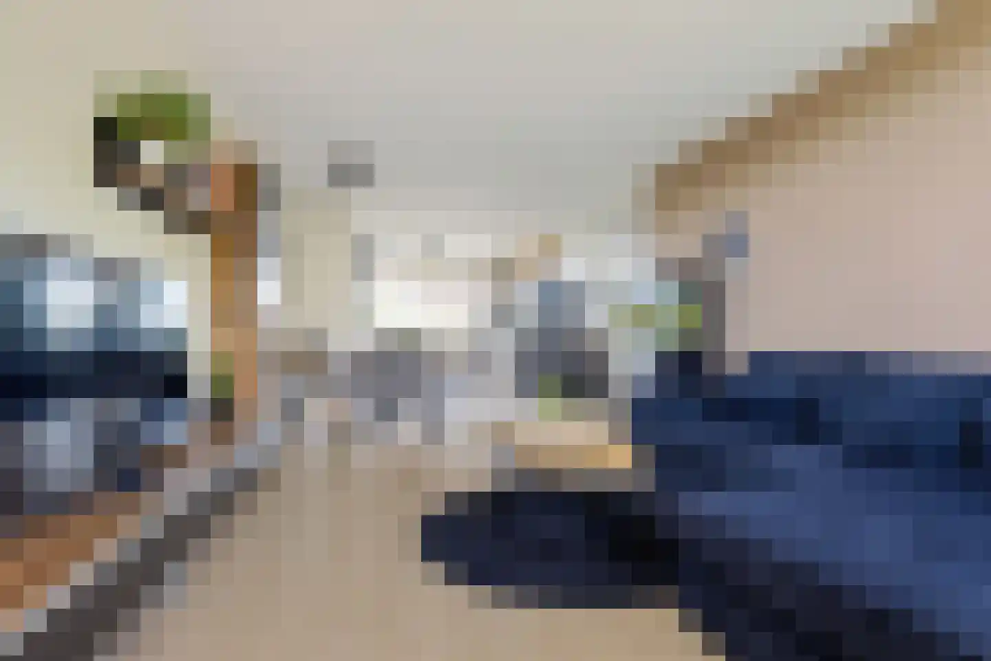 Dunantstraat 738 Zoetermeer thumbnail 21