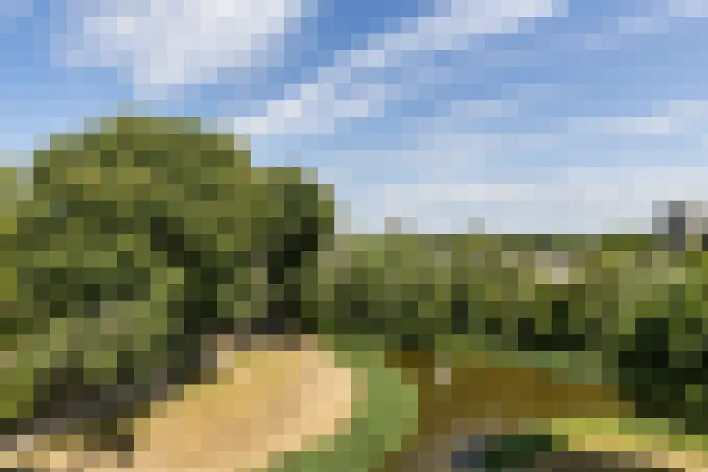 Dunantstraat 738 Zoetermeer thumbnail 31
