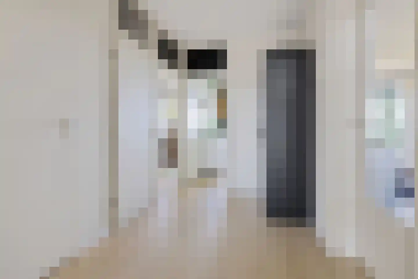 Dunantstraat 738 Zoetermeer thumbnail 32