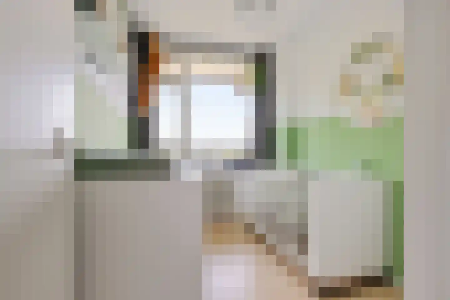 Dunantstraat 738 Zoetermeer thumbnail 36
