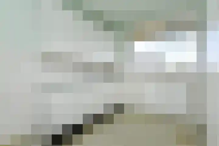 Dunantstraat 739 Zoetermeer thumbnail 11