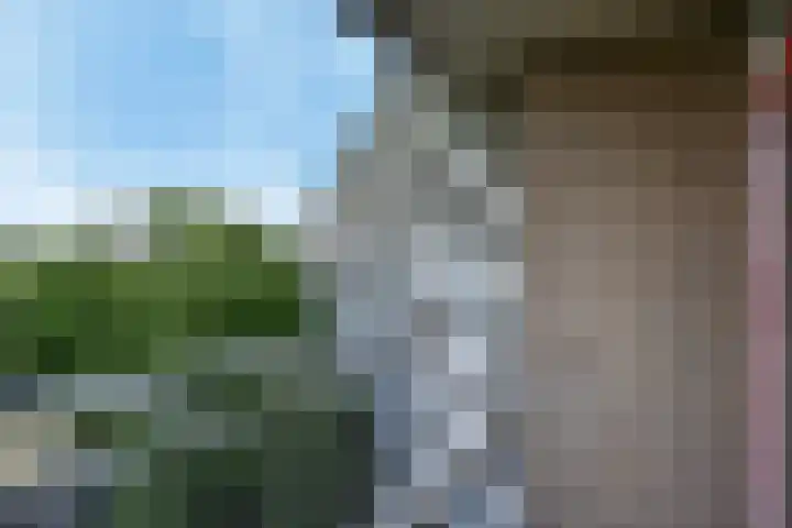 Dunantstraat 739 Zoetermeer thumbnail 16