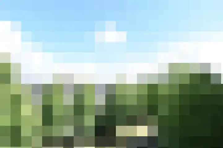 Dunantstraat 739 Zoetermeer thumbnail 17