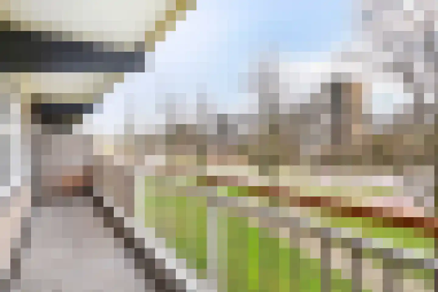 Dunantstraat 784 Zoetermeer thumbnail 12