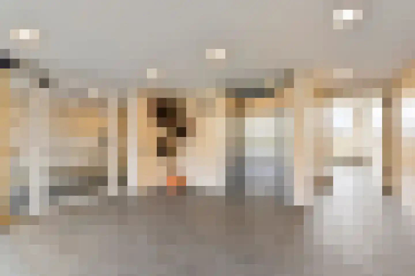 Dunantstraat 80 Zoetermeer thumbnail 6