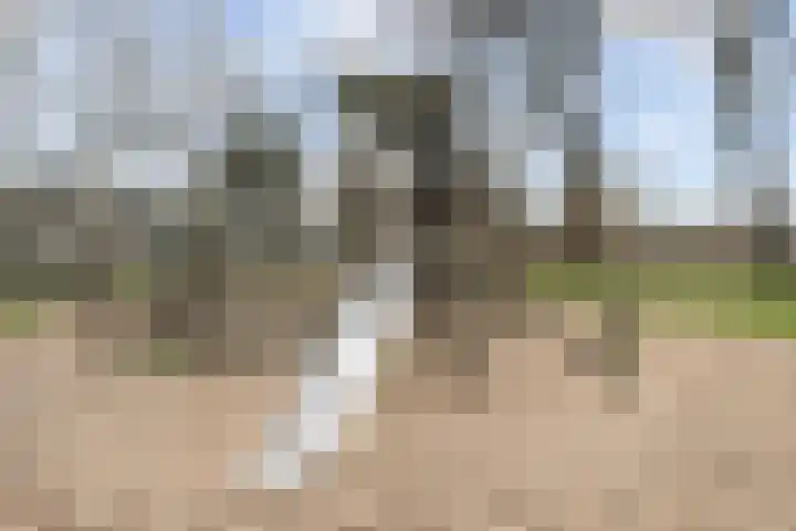 Dunantstraat 801 Zoetermeer thumbnail 46