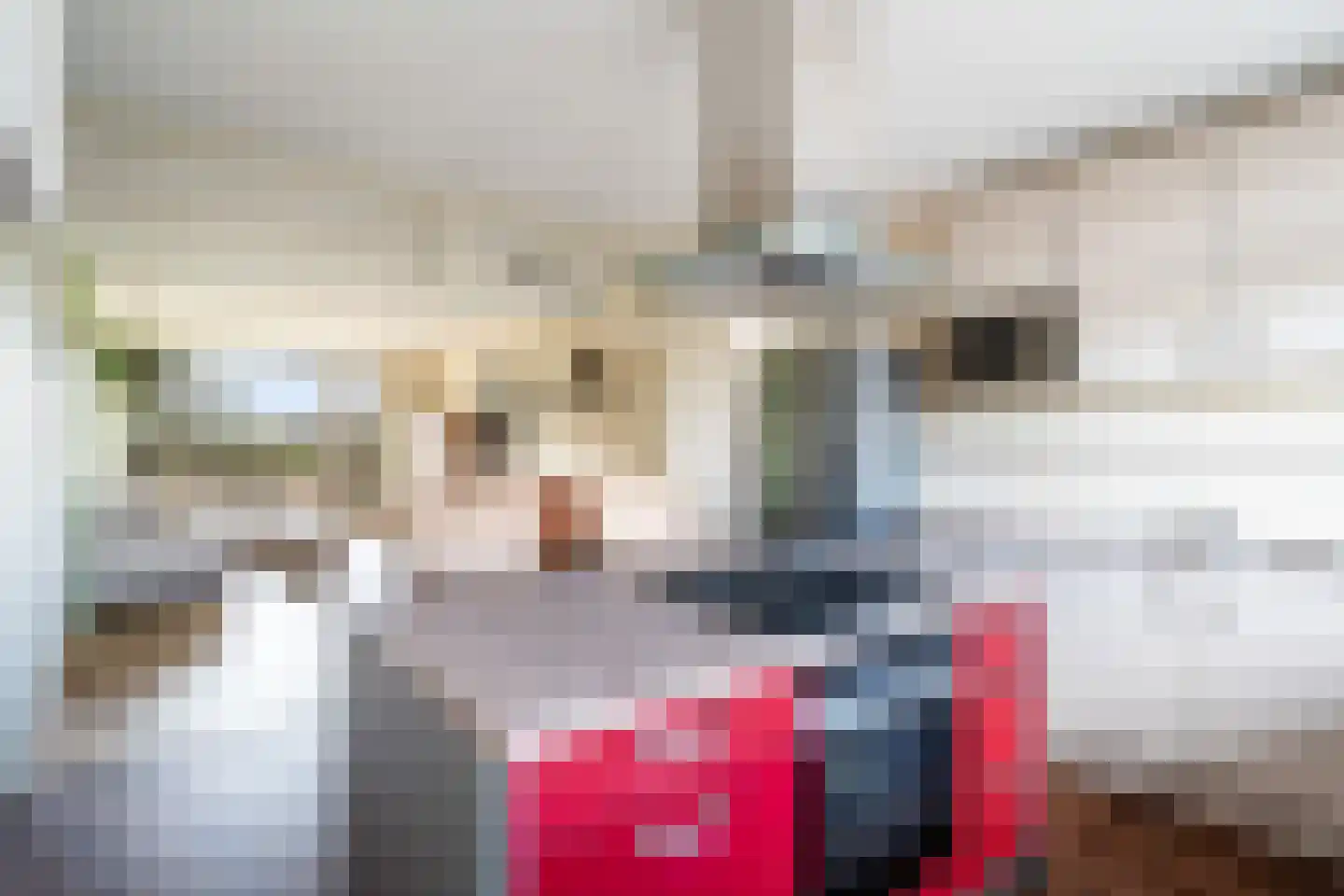 Dunantstraat 808 Zoetermeer thumbnail 17