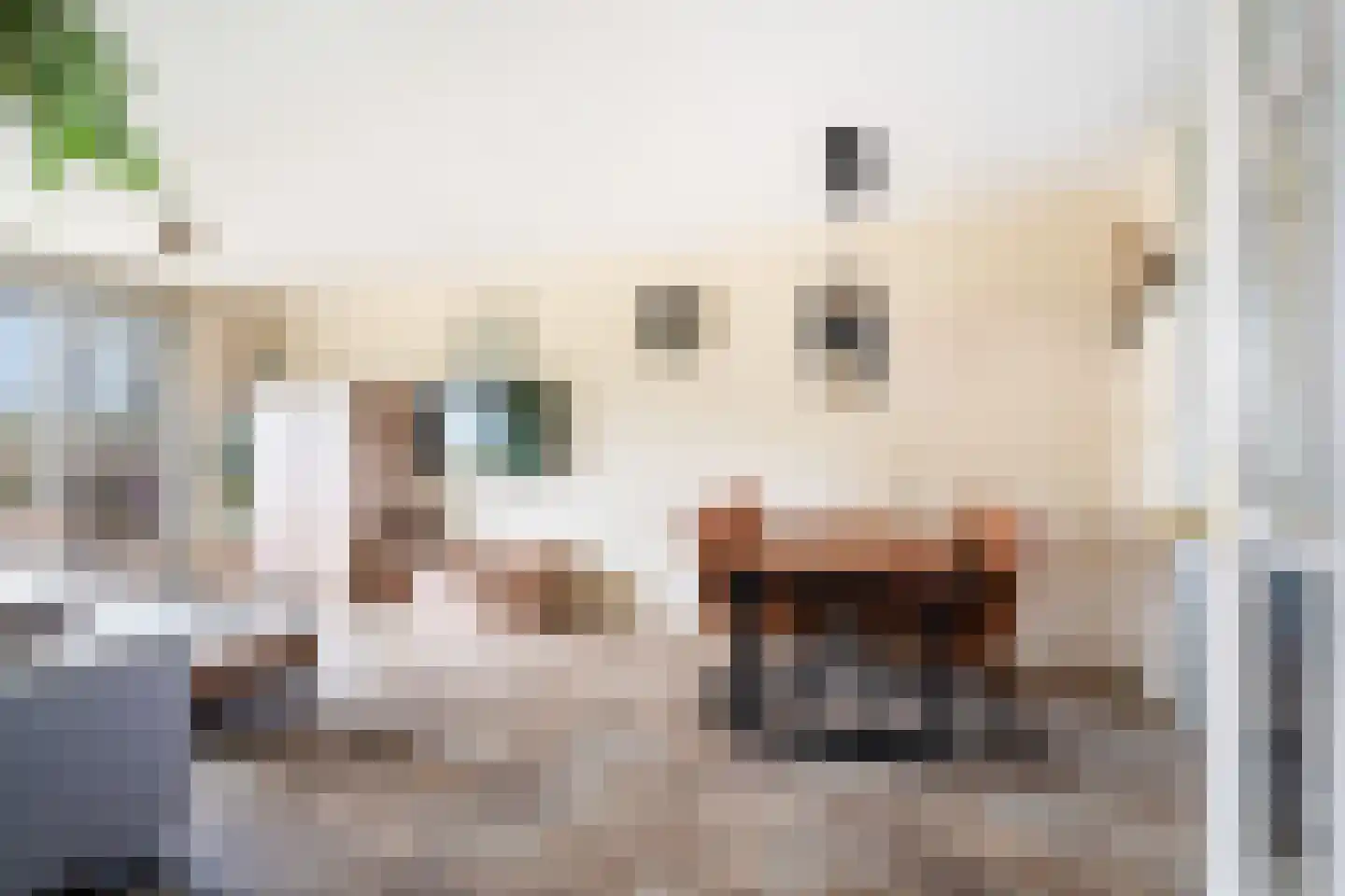 Dunantstraat 808 Zoetermeer thumbnail 21