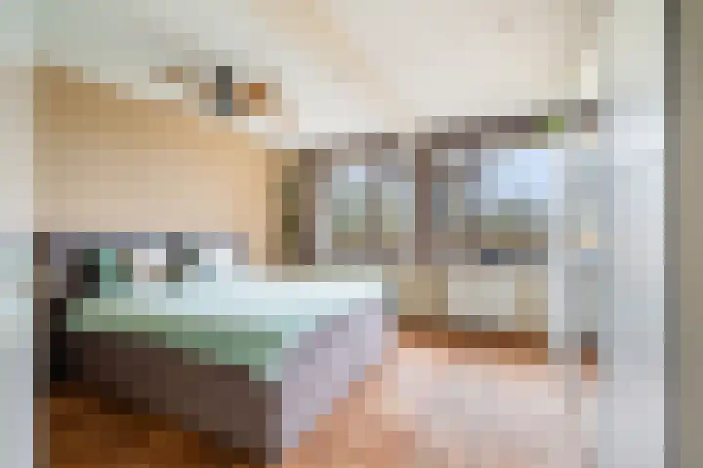 Dunantstraat 808 Zoetermeer thumbnail 23