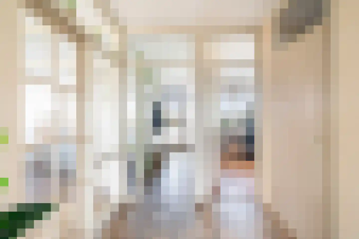 Dunantstraat 808 Zoetermeer thumbnail 30