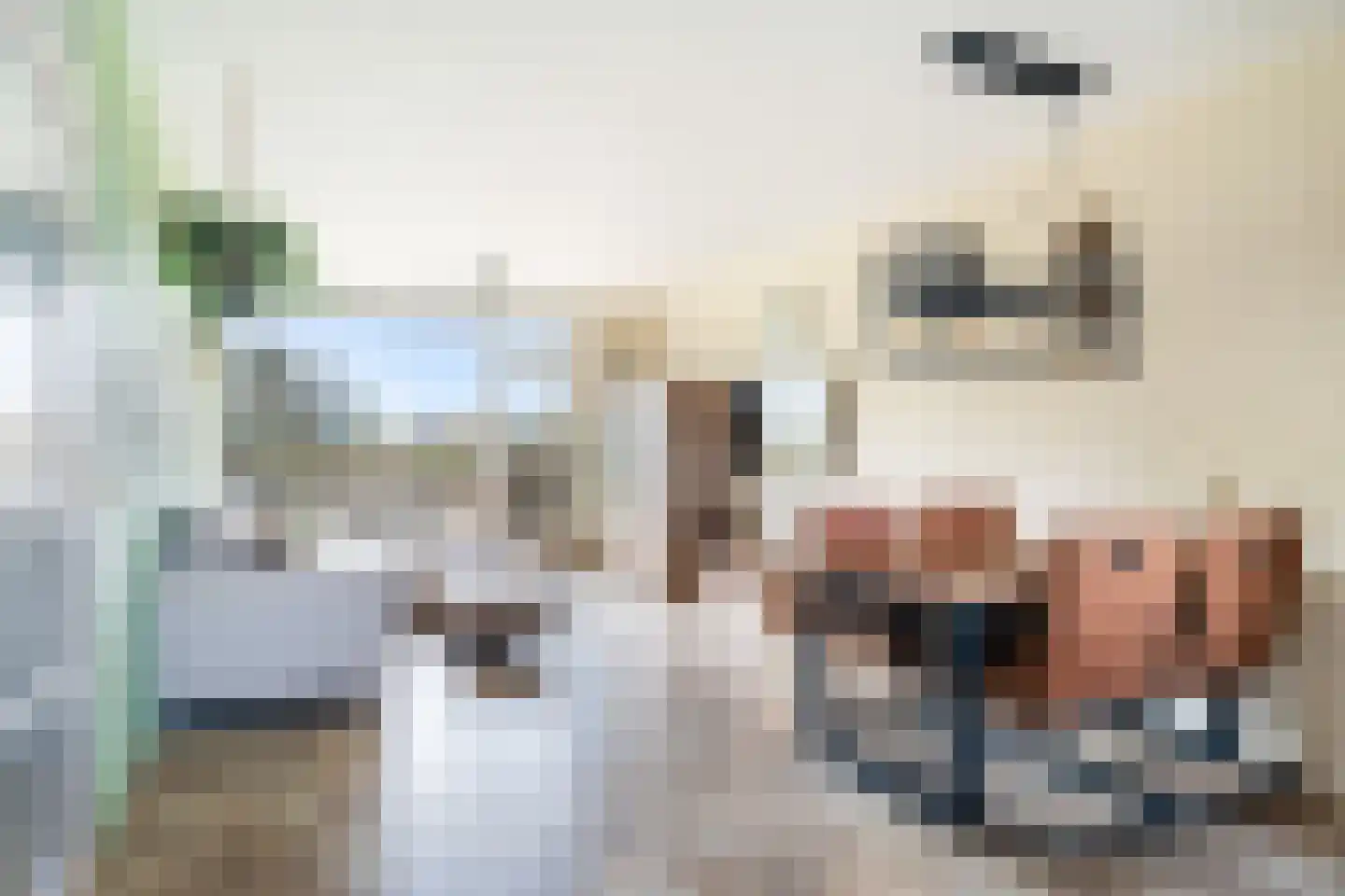 Dunantstraat 808 Zoetermeer thumbnail 8