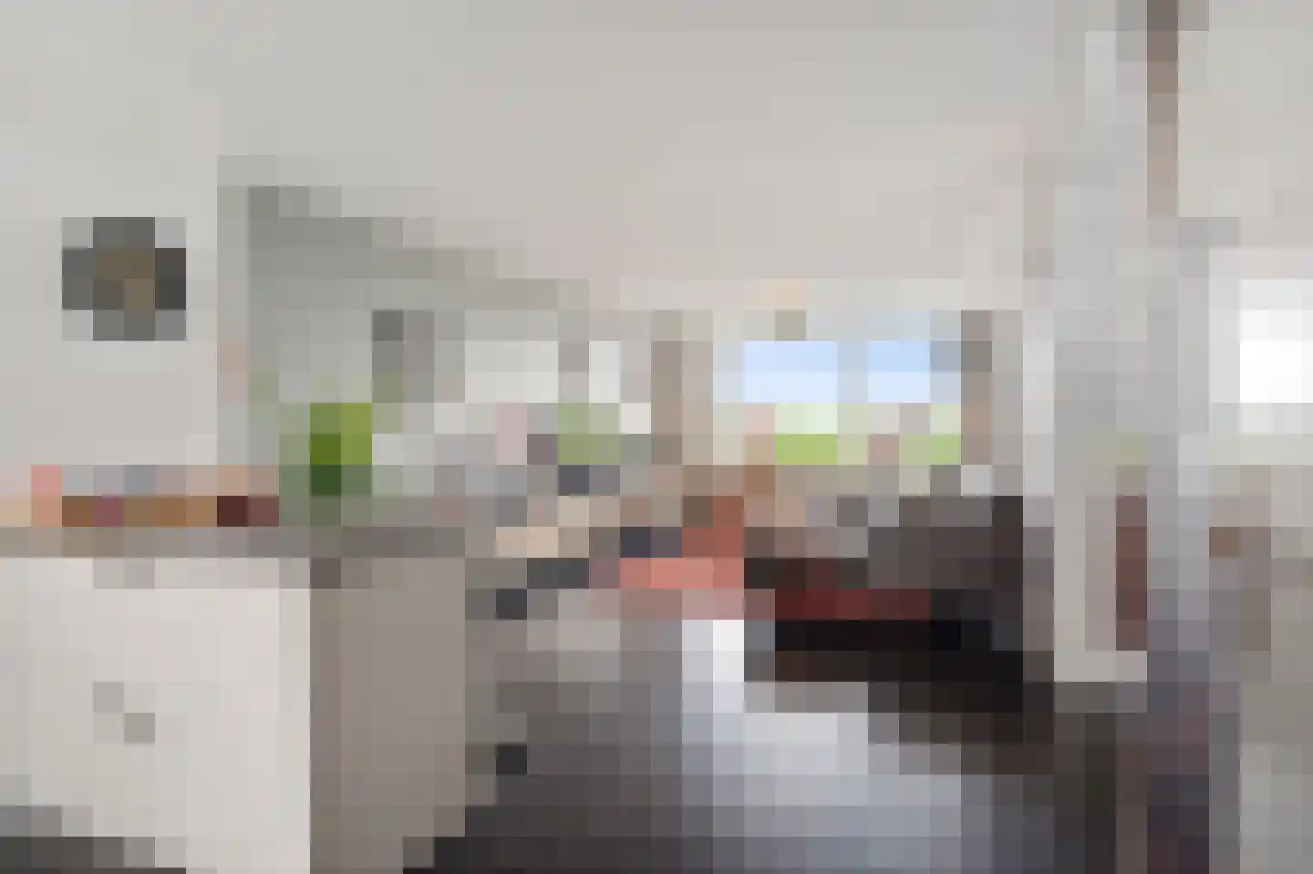 Dunantstraat 825 Zoetermeer thumbnail 11