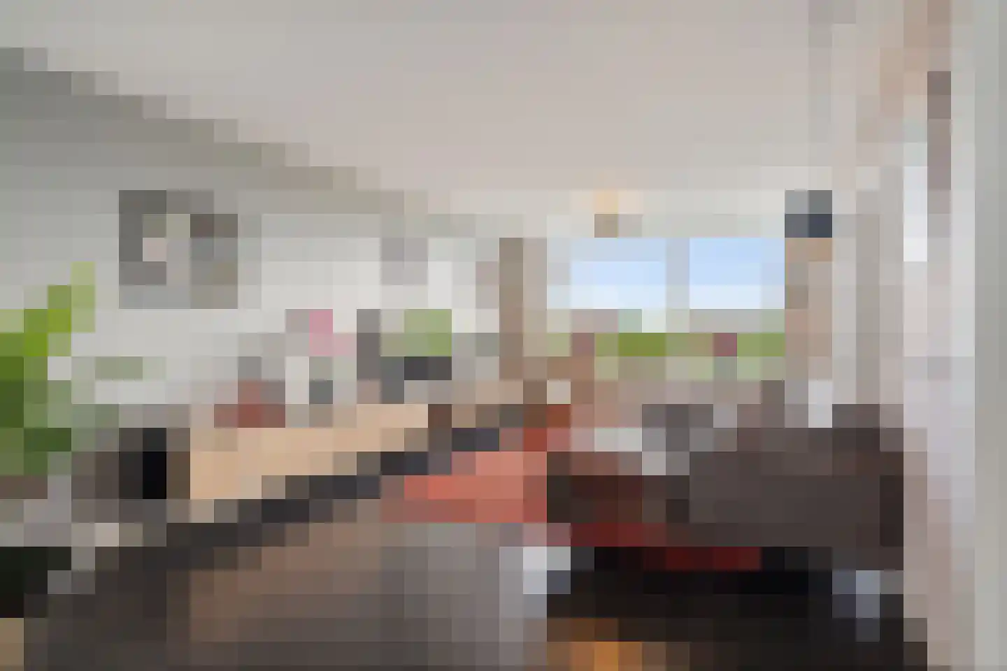Dunantstraat 825 Zoetermeer thumbnail 13